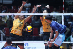 Satu Kaki Jakarta Bhayangkara Presisi sudah Berada di Babak Final Four Proliga 2026