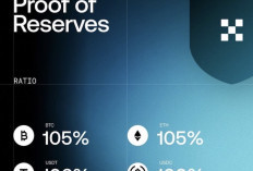  Sistem—PoR ke-39 Tunjukkan 1:1 Coverage dan 100%+ Reserves