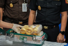 Penyelundupan Emas Rp 502 Miliar lewat Pesawat Carter Terbongkar di Halim