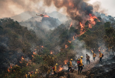 DPRD Jabar Usulkan Perda Khusus untuk Menangani Karhutla