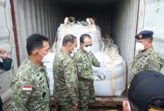 Begini Kronologis Penangkapan Kapal Penyelundup LTJ dan Radioaktif Ilegal di Batam
