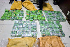 Bongkar Jaringan Narkoba Aceh, Bea Cukai dan BNN Amankan Sabu Skala Besar 