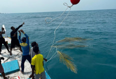 PLN UID Jakarta Raya Gagas Program Konservasi Pulau Sabira 
