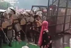 Brave Pink dan Hero Green, Cinta Tumbuh dari Persatuan, bukan Ketakutan
