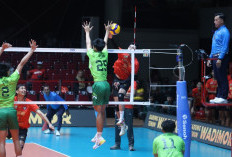 Samator Perbaiki Peringkat dan Pelihara Peluang ke Final Four  Proliga 2026 dengan Gunduli  Jakarta  Garuda