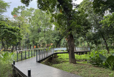 DPRD DKI Jakarta Murka Ada Pungli di Tebet Eco Park