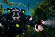  Wajib Hadir di ICE BSD! Ini 4 Alasan DRT SHOW 2026 Jadi Surga Pencinta Dunia Bawah Laut