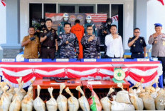 TNI AL Gagalkan Penyelundupan 1,6 Ton Pasir Timah ke Malaysia, Selamatkan Potensi Kerugian Negara Rp 1,33 M 