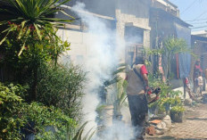 Respons Lamban, Anak 7 Tahun Kena DBD,  Warga Kampung Sawah Indah Lakukan Fogging Mandiri