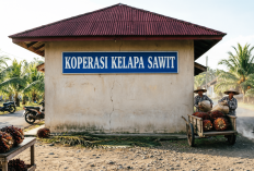 Hilirisasi Koperasi Diharapkan Angkat Perekonomian di Desa