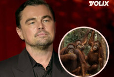 Leonardo DiCaprio Soroti Kebakaran Hutan di Kalimantan dan Sumatra, Kondisi Orangutan Memprihatinkan
