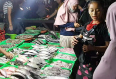 193 Pedagang Ikan di Kramat Jati Segera Pindah ke Lokbin