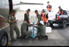 TNI Semai Puluhan Ton Garam dan  Dry Ice untuk Atasi Karhutla di Kalimantan dan Sumsel 