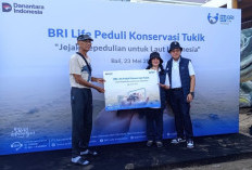  BRI Life Gelar Pelepasan Tukik, Dukung Konservasi Penyu