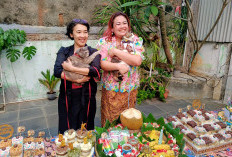 Bukan Cuma Manusia! Heboh Pesta Ultah Kucing di Jakarta Pusat Dirayakan Bagai Anak Kecil