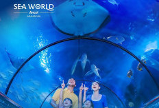 Begini Cara Sea World Mengusung Semangat Menghidupkan Dunia Bawah Laut