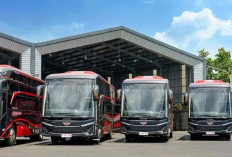 Indonesia Darurat Keselamatan Transportasi Jalan