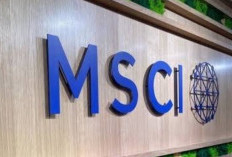 Geger Rebalancing MSCI, Investor Jangan Panik! Hans Kwee Ungkap Siasat Serok Saham Salah Harga